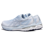 Asics GT-2000 10