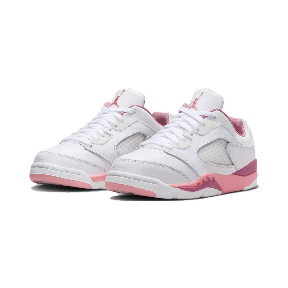 Jordan Air Jordan 5 Retro Low