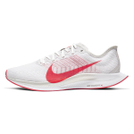 Nike Pegasus turbo 2
