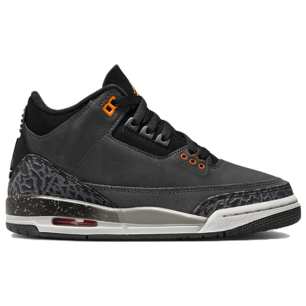 Jordan Air Jordan 3