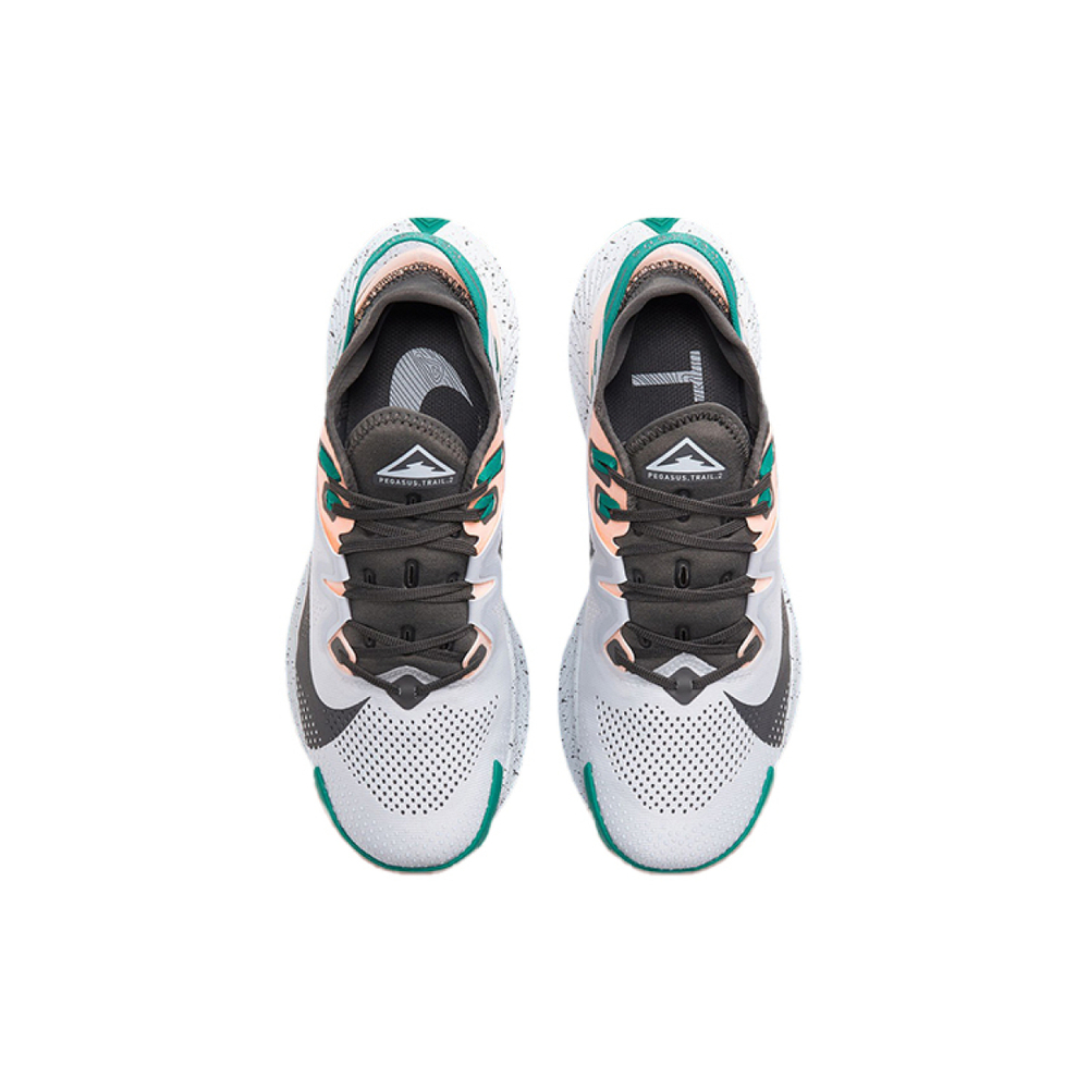 Nike Pegasus Trail 2