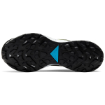Nike Pegasus Trail 2