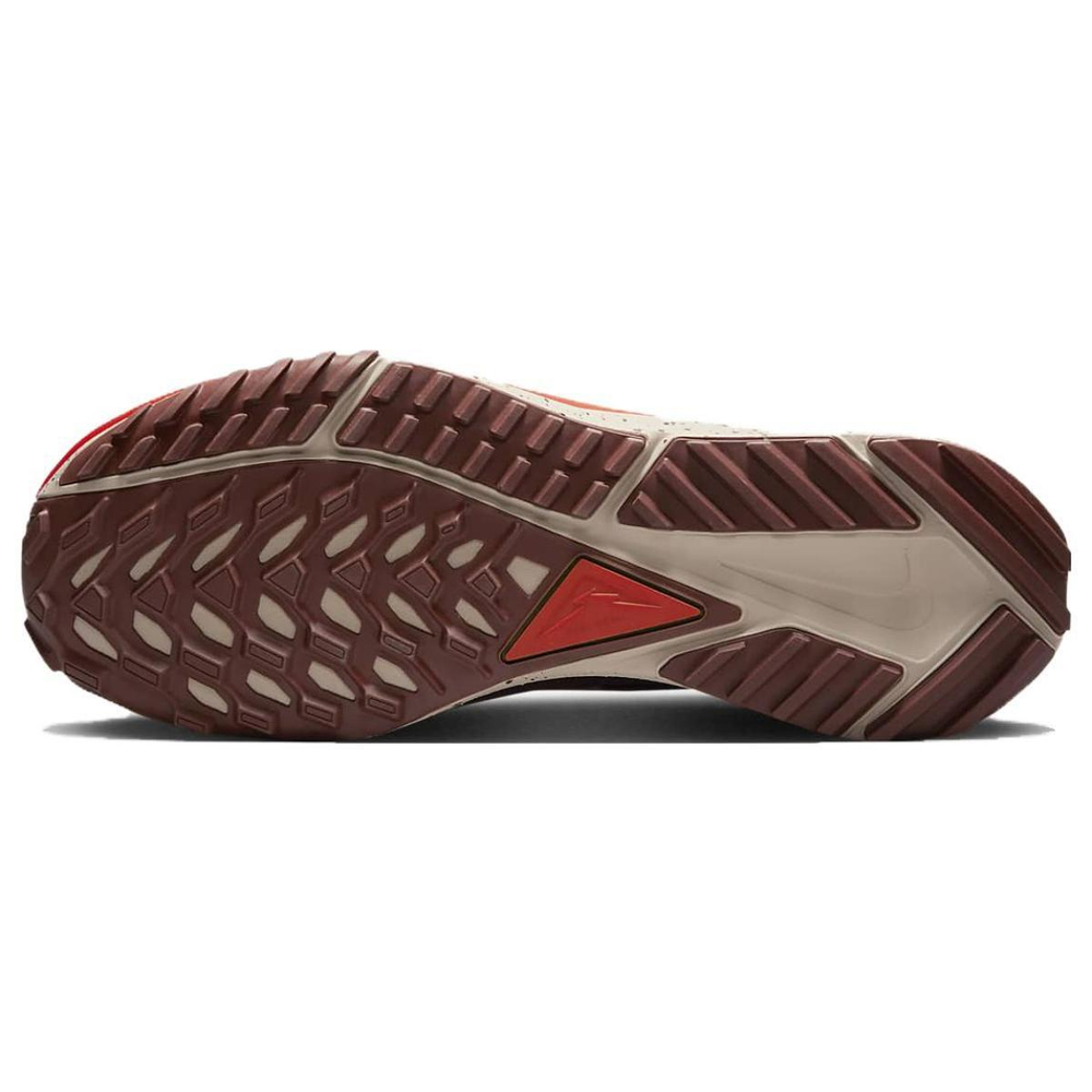 Nike Pegasus Trail 4 Gore-Tex
