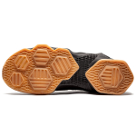 Nike Lebron 13 Black Lion