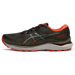 Asics Gel-Cumulus 24 AHAR+