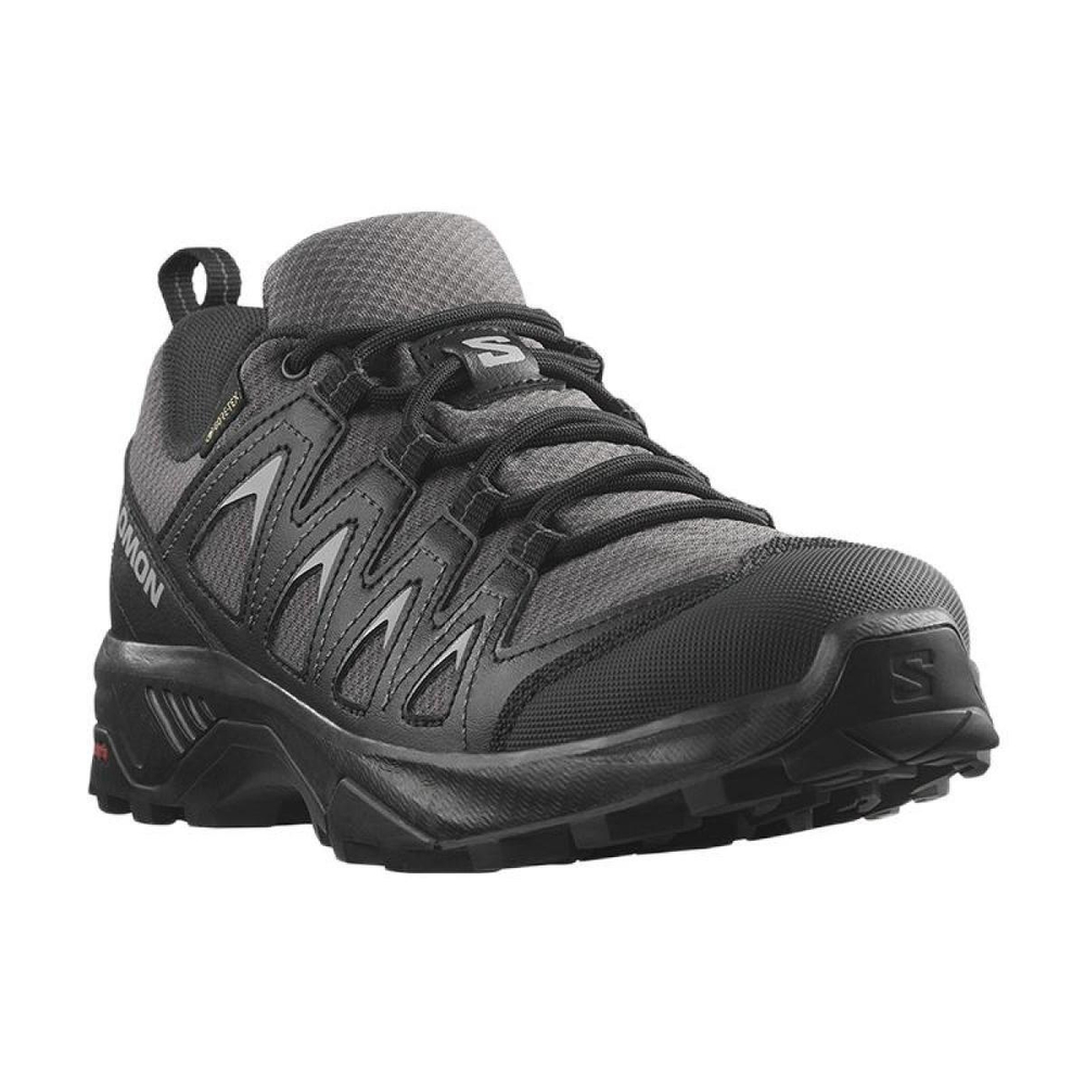 SALOMON X Braze GTX W /