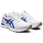 Asics GEL-Nimbus 22