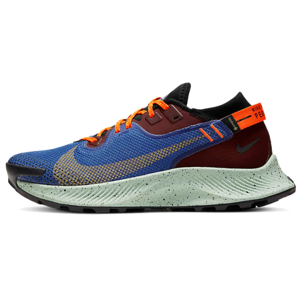 Nike Pegasus Trail 2 GORE-TEX