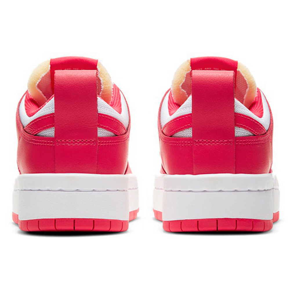 Nike Dunk Disrupt Disrupt