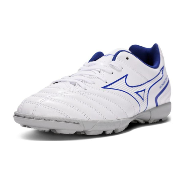 Mizuno Monarcida