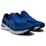 Asics GT-2000 10
