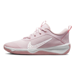 Nike Omni Multi-Court (GS)