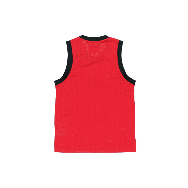 Air Jordan Jumpman Sport DNA