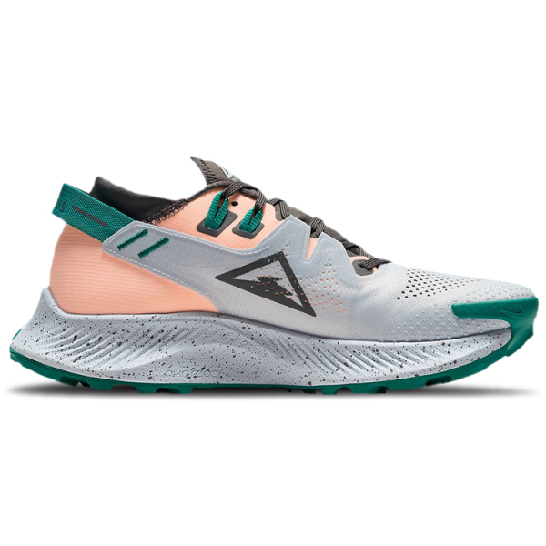 Nike Pegasus Trail 2