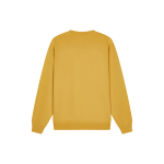 Champion FW23 Rochester Logo