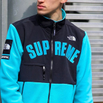 Supreme x /THE NORTH FACE SS19
