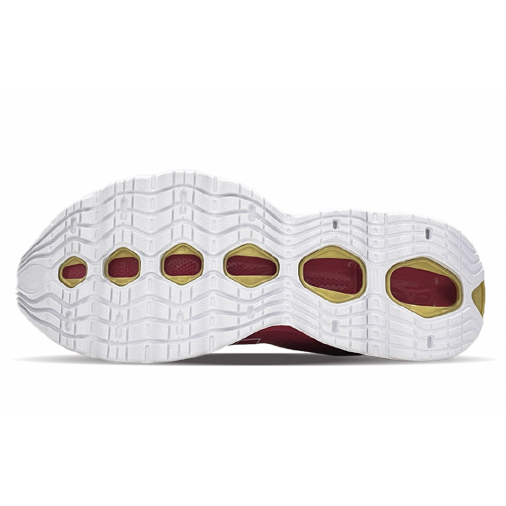 Mizuno Pro 10