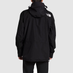 THE NORTH FACE 1994 Retro Mountain Futurelight