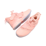 Nike zoom soldier 12 Lebro