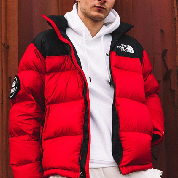 THE NORTH FACE 1992 30 Logo