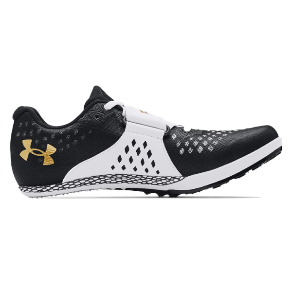 Under Armour HOVR Skyline