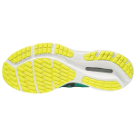 Mizuno Wave Rider 24