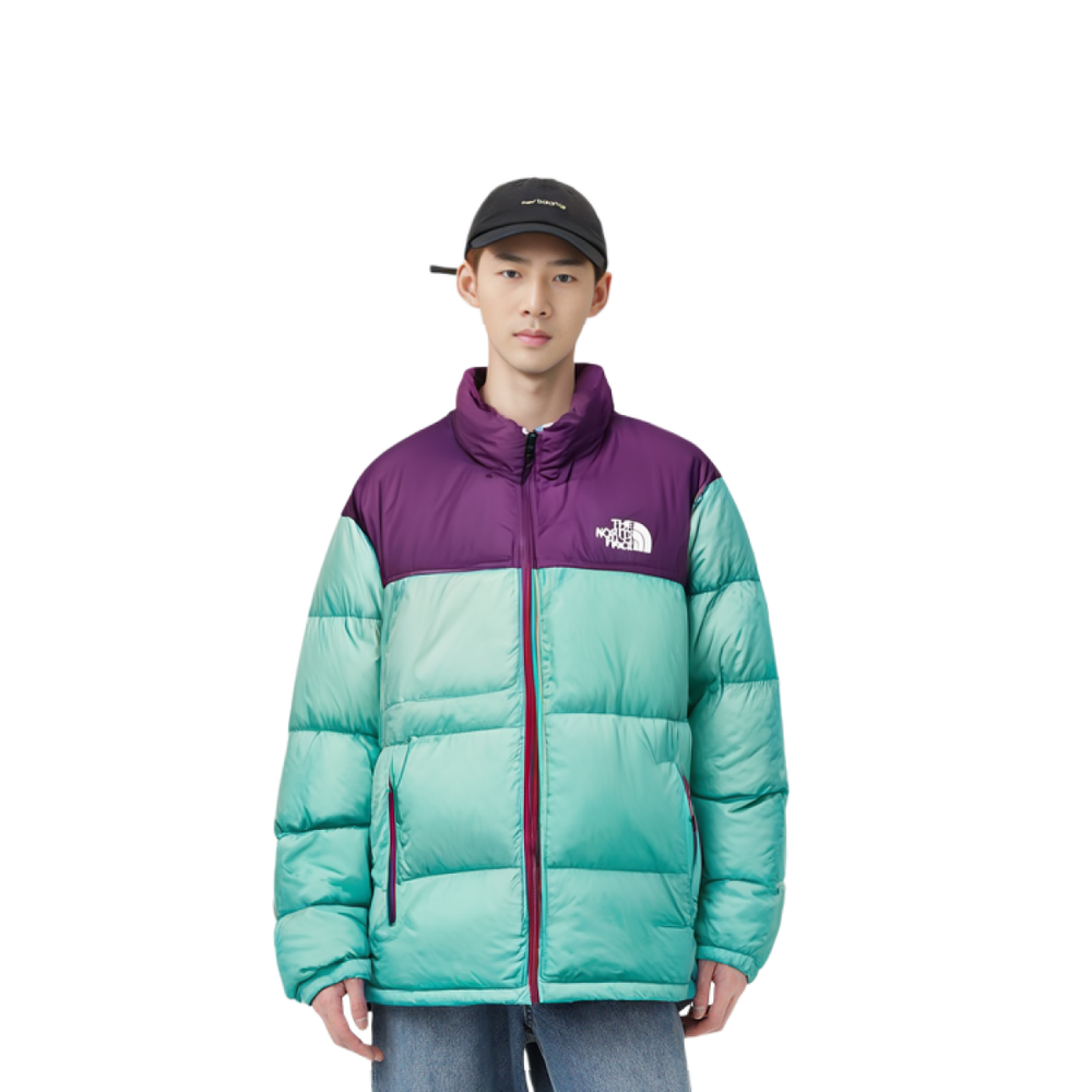 THE NORTH FACE 1996 Retro Nuptse 700