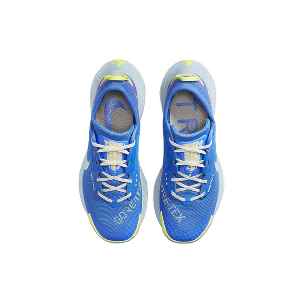 Nike Pegasus Trail 3 Gore-Tex