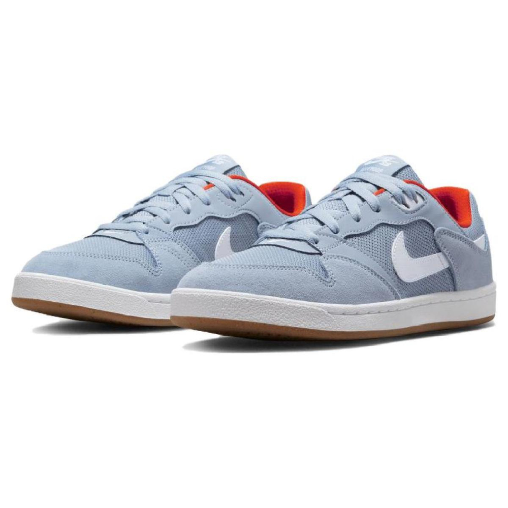 Nike SB Alleyoop