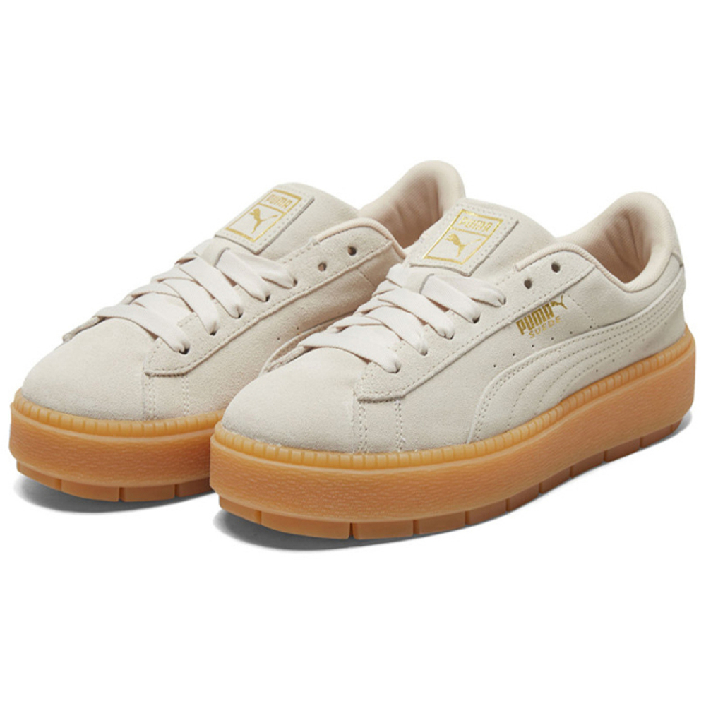 PUMA Platform Trace