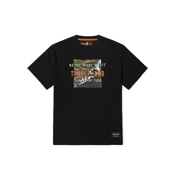 Timberland T