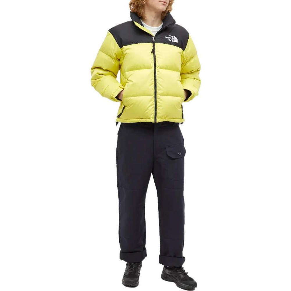 THE NORTH FACE 1996 Logo
