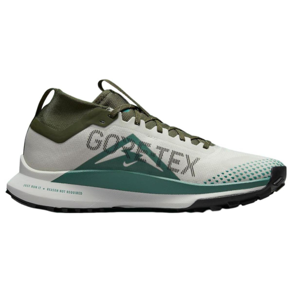 Nike Pegasus Trail 4 Gore-Tex