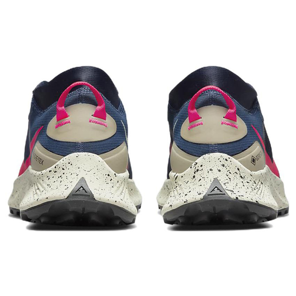 Nike Pegasus Trail 3 gtx