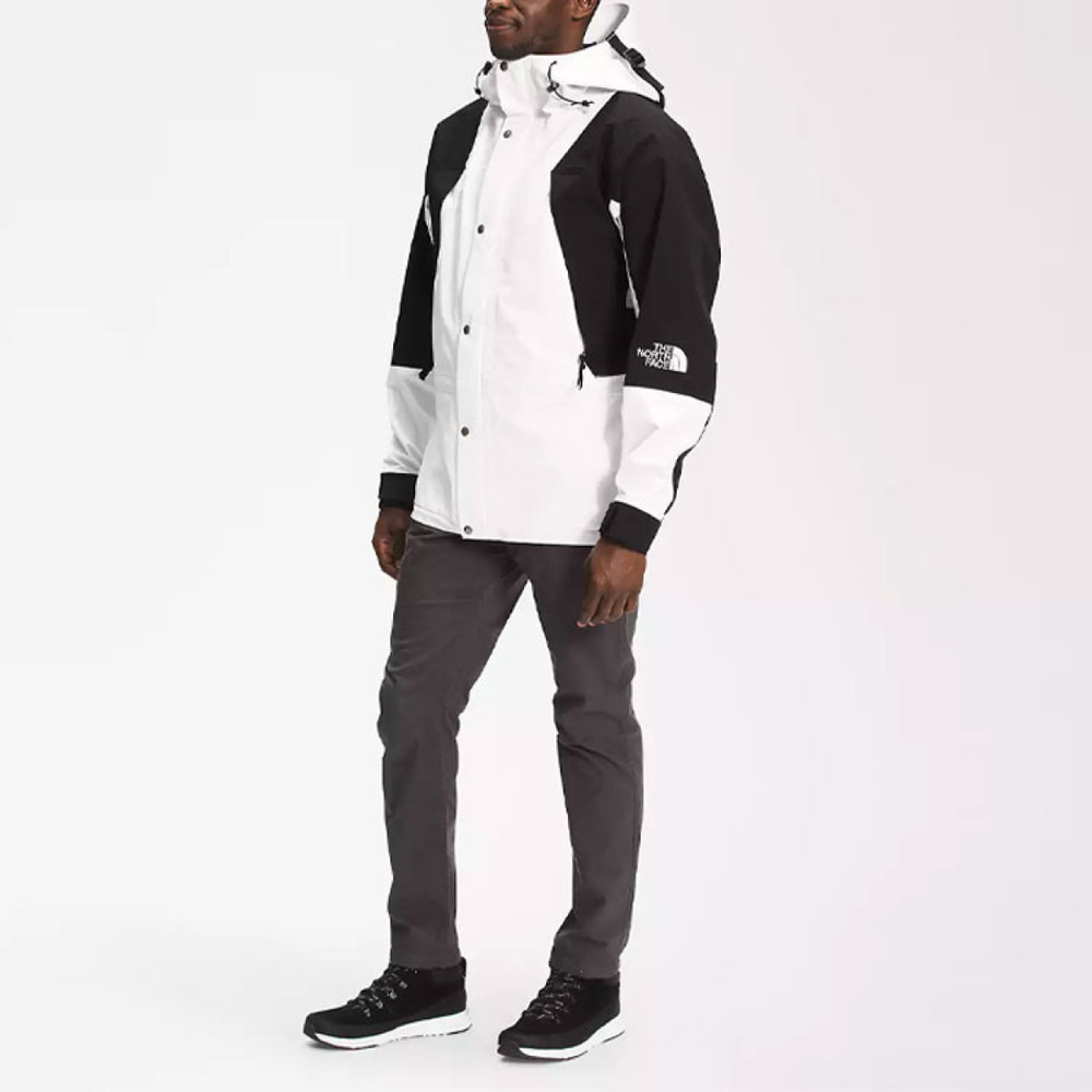THE NORTH FACE 1994 Retro Mountain Light Futurelight™ logo
