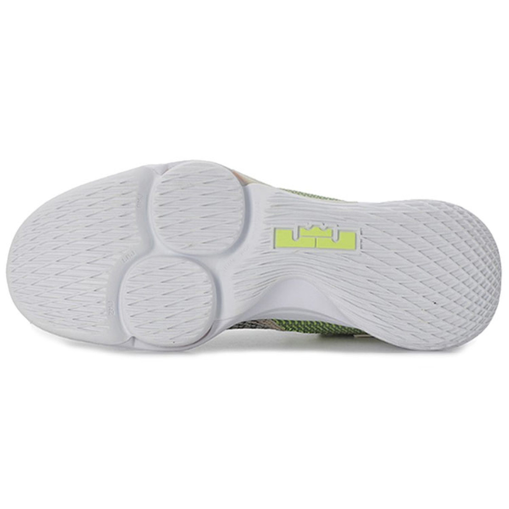 Nike Witness 4 LeBron EP