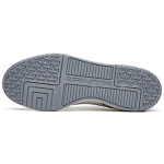 Anta