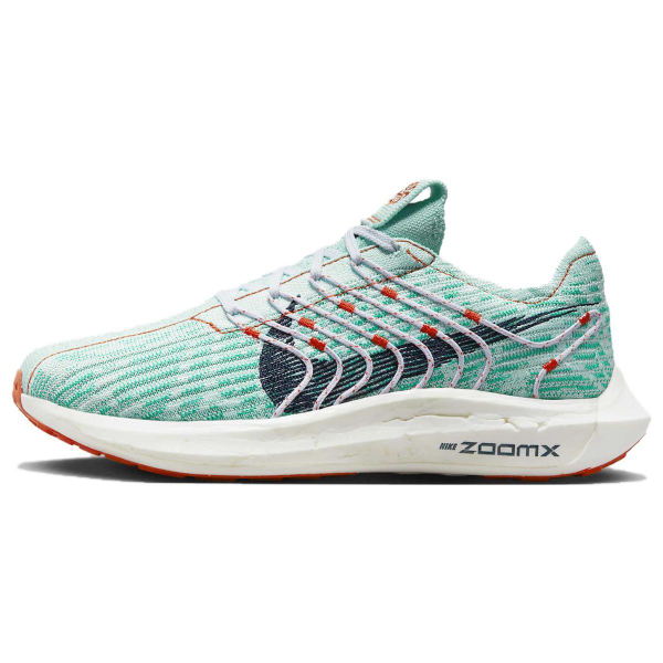 Nike Pegasus turbo 1 ZoomX