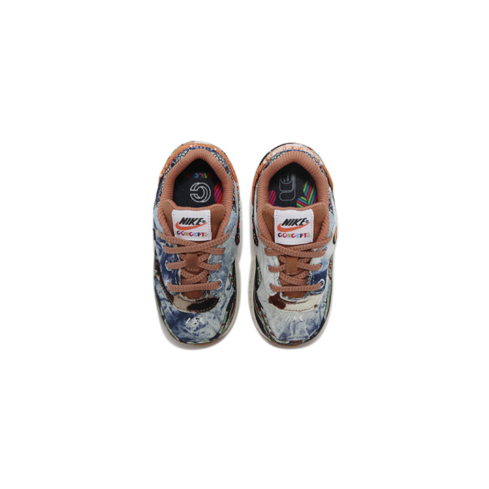 CONCEPTS x Nike Air Max 1 SP