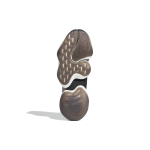 Adidas originals Crazy BYW 1.0
