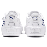 ADER ERROR x PUMA Platform Trace
