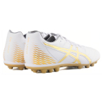 Asics DS LIGHT AG（ ）