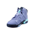Jordan Air Jordan 6 Retro Iron Purple