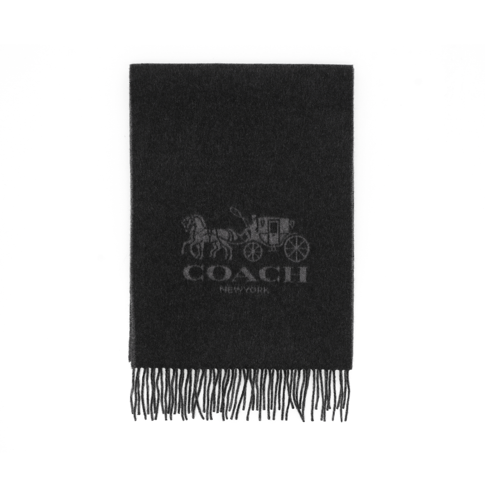 COACH Logo 100%