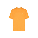 Arcteryx Cormac Crew Ss Logo T