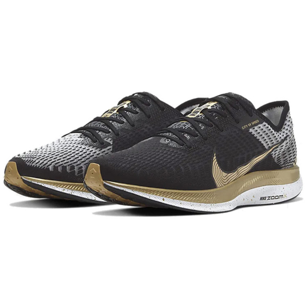 Nike Pegasus turbo 2