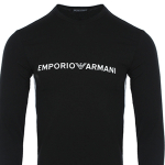 /EMPORIO ARMANI FW21 Logo T