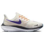 Nike Pegasus FlyEase Air Zoom