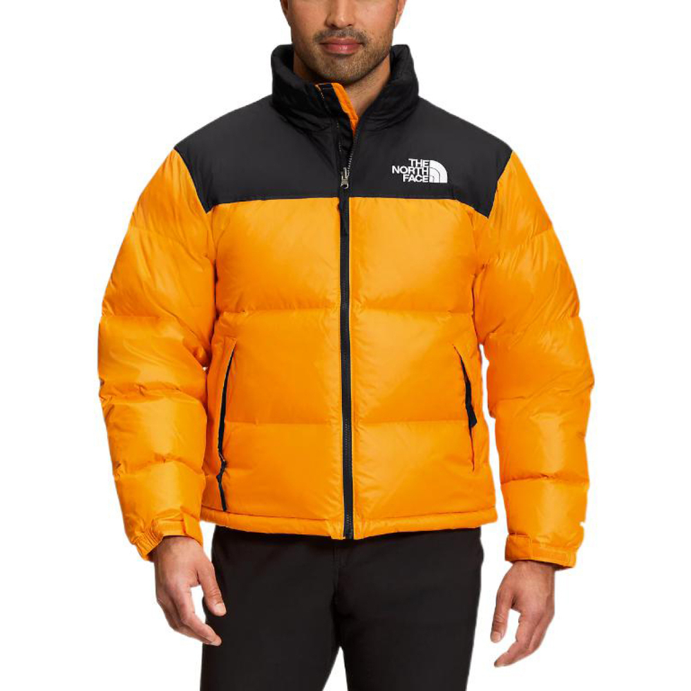 THE NORTH FACE 1996 Logo 700