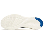 Anta